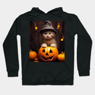 Spellbound Whiskerling Hoodie